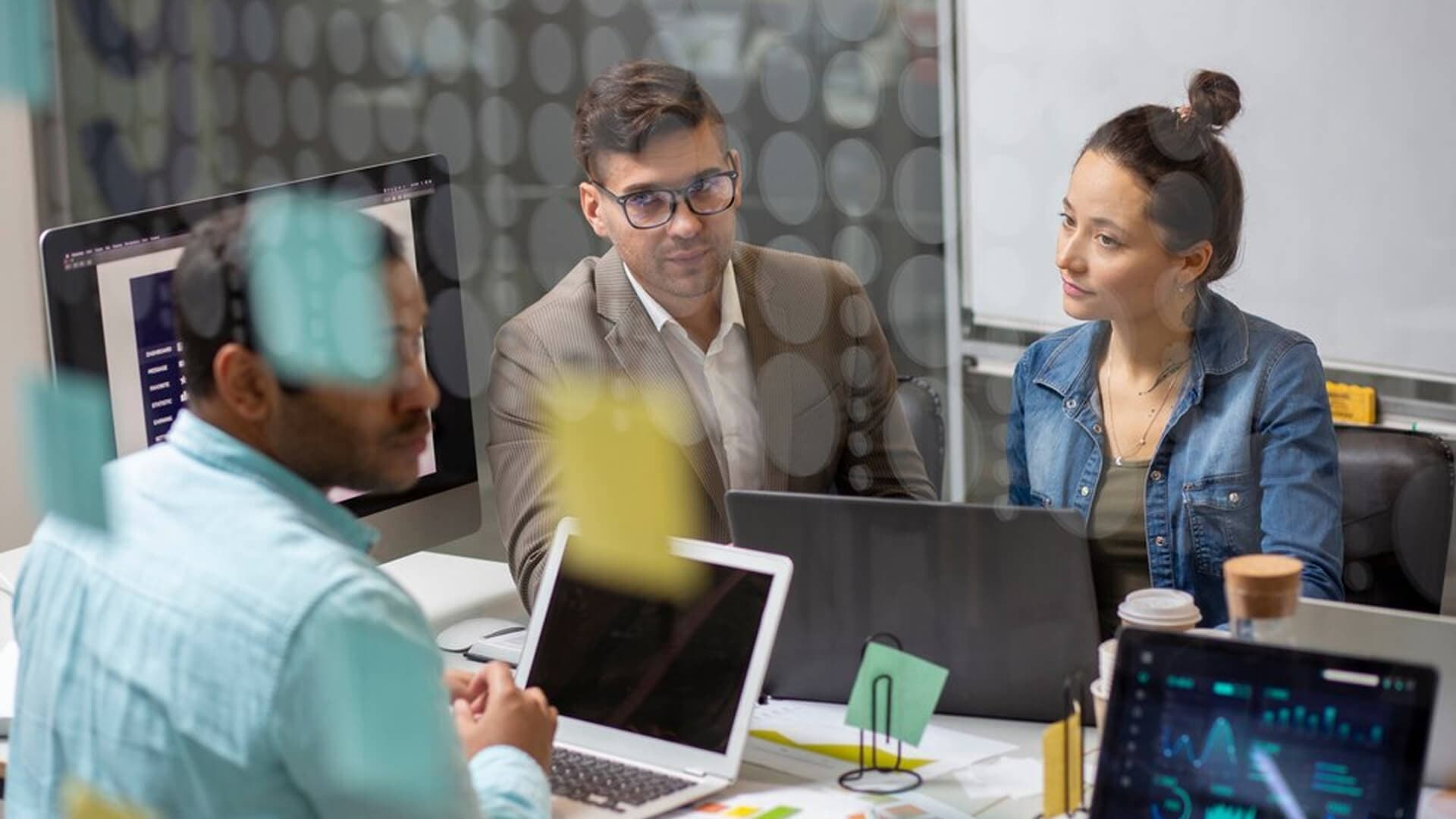 Software Consulting